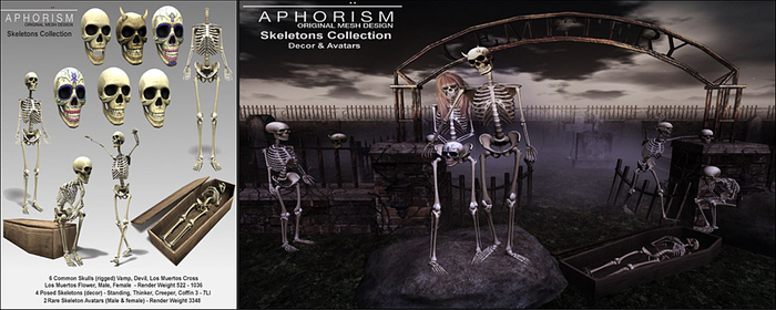 !APHORISM! Thinker Skeleton