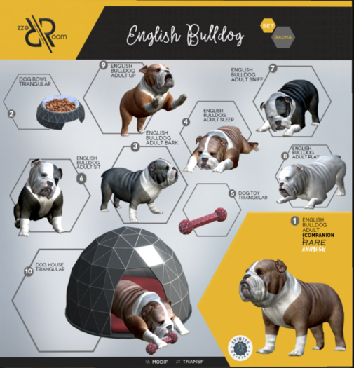 [Rezz Room] Box English Bulldog Adult Up