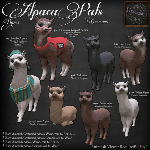 6. *HEXtraordinary* Alpaca - Black Companion