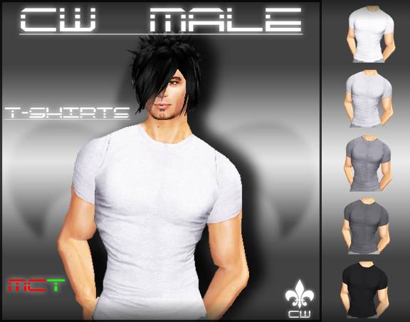 .:|CW MALE|:. - Light Grey Tee