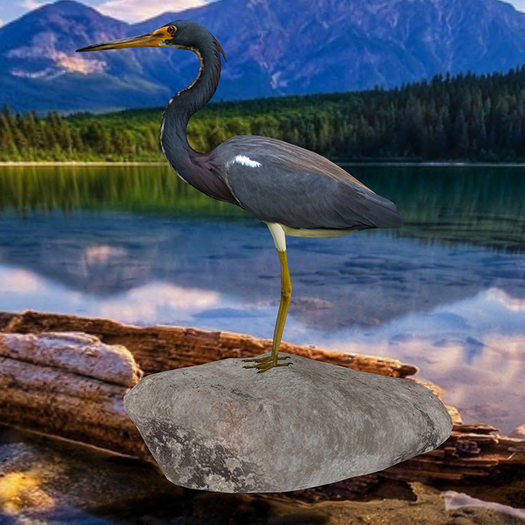 Tricolored Heron Tip Jar  