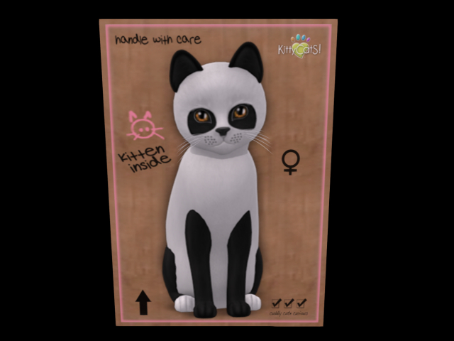 KittyCatS Box - New Born Kitten