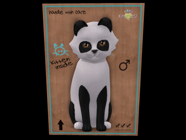 KittyCatS Box - New Born Kitten