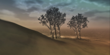 Art trees Backdrop (Add) PLEASE READ DESCRIPTION BEFORE YOU BUY
