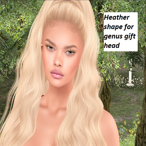 Heather shape for the free Genus gift head
