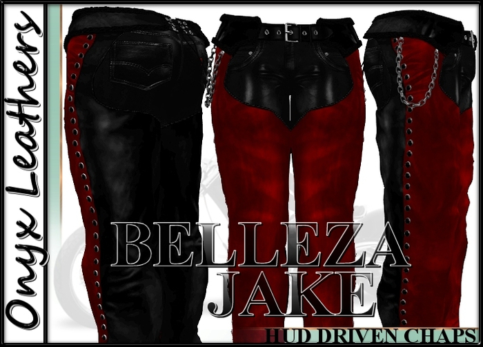 BELLEZA JAKE Multi Options Chaps - Hud Driven