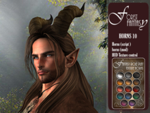 [Z] Fantasy Horns - No.10