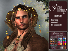 [Z] Fantasy Horns - No.11