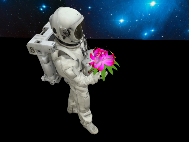 Kloss-nass pink (wear only)