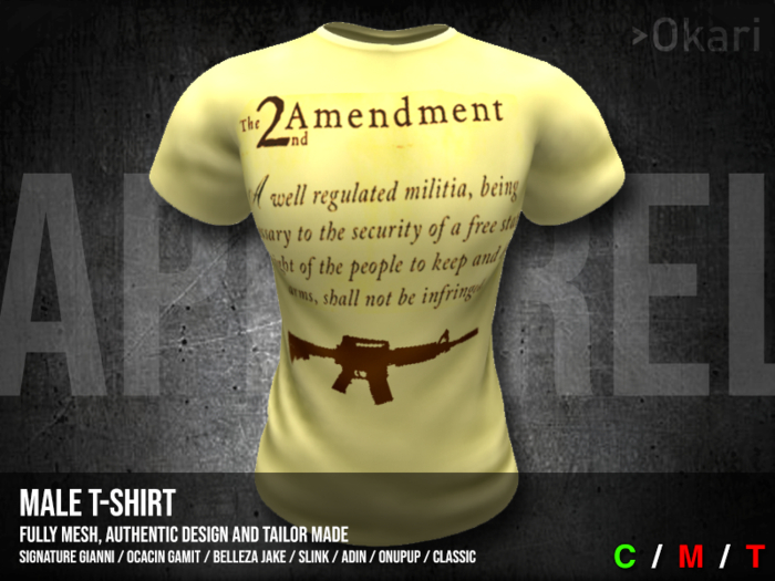 2nd Amendment Shirt Male