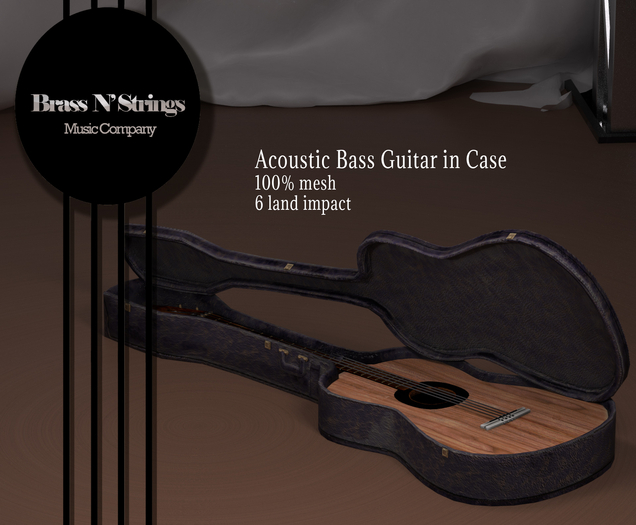 Acoustic Bass Guitar in Case