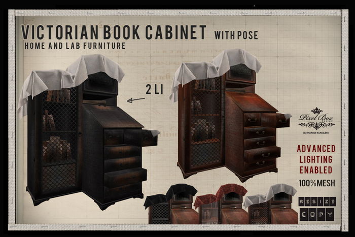 PIXEL BOX - Steampunk Victorian Book Cabinet 