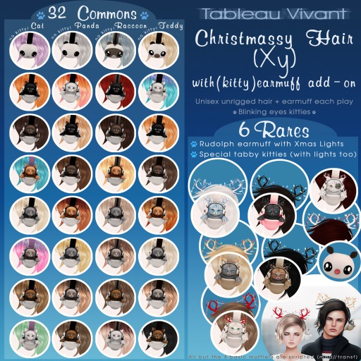 ~Tableau Vivant~ Xy  V+P#8 // Racoon - Ginger kitty