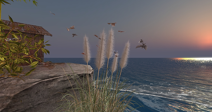 CJ Flying Swallow