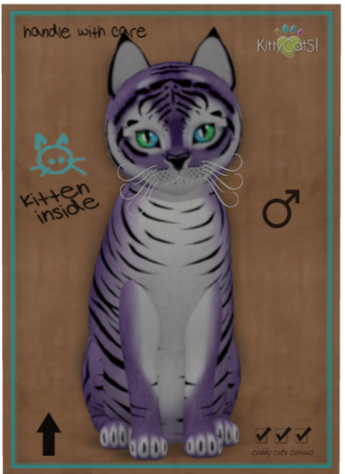KittyCatS Box - Tiger! - Dusky Plum