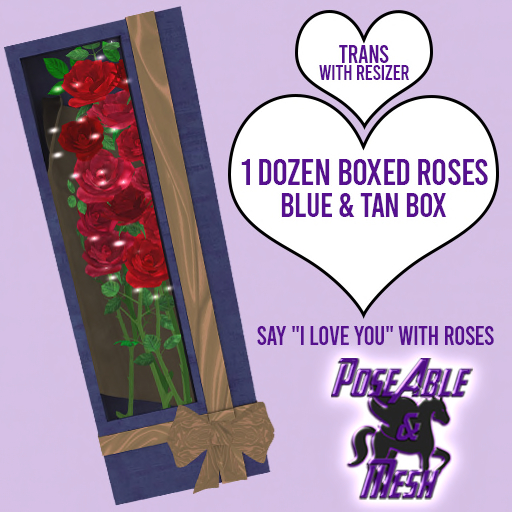 PoseAble & Mesh ~ Flower Box Blue & Tan