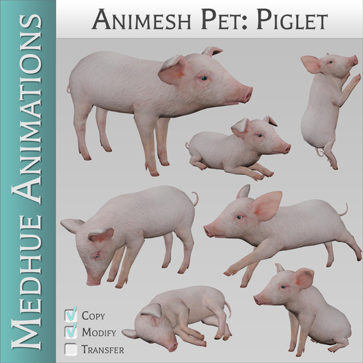 Medhue Animesh Pet Piglet