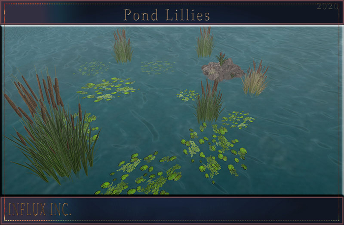 Pond Lilies