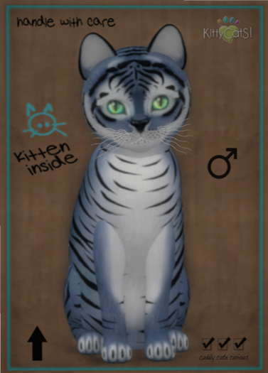 KittyCatS Box - Tiger! - Dusky Winkle