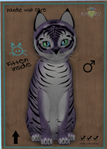 KittyCatS Box - Tiger! - Dusky Plum