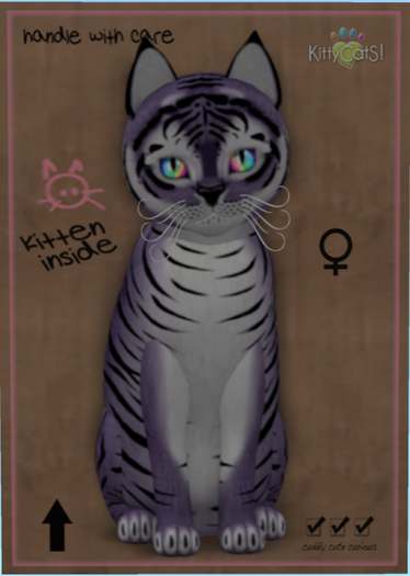 KittyCatS Box - Tiger! - Dusky Plum