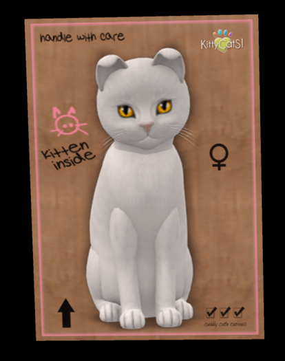 Russian - White No246