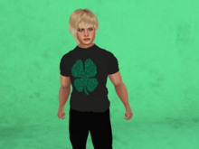 St.Patrick's-Shamrock-Men's Mesh Shirt