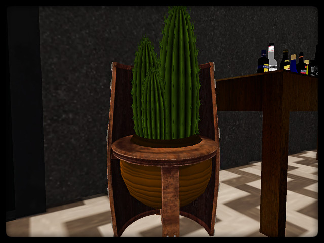 [AE] Home Decor - Man Cave - Potted Cactus