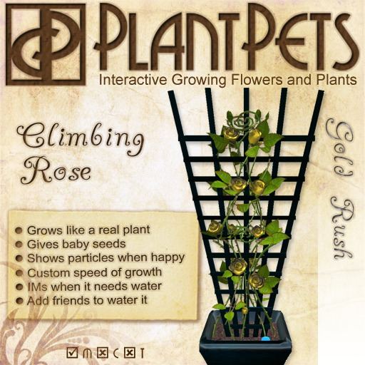 PlantPet Seed [Climbing Rose *Gold Rush*]