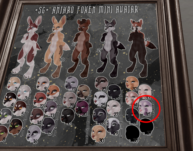 +SG+ Anthro Foxen Voucher [35] RARE