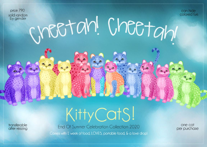 KittyCatS Box - Cheetah! Cheetah! - Raspberry - Boy