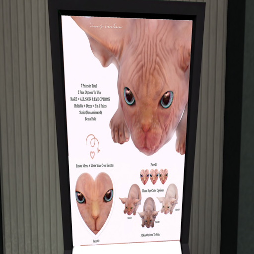 *[BB] Crouching Sphynx Kitten ALL RARE