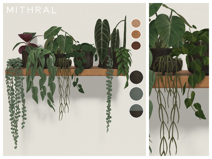 Mithral * Full Plant Shelf (Pack C)