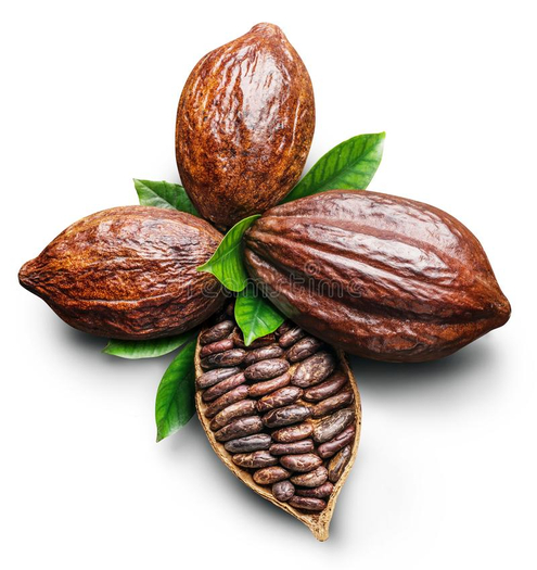 DFS Cocoa Bean Basket
