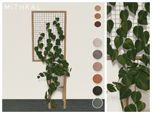 Mithral * Trellis Philodendron (Brasil)