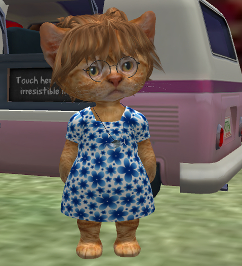 Dinkie blue flower dress