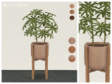 Mithral * Dwarf Umbrella Tree (Pack B)