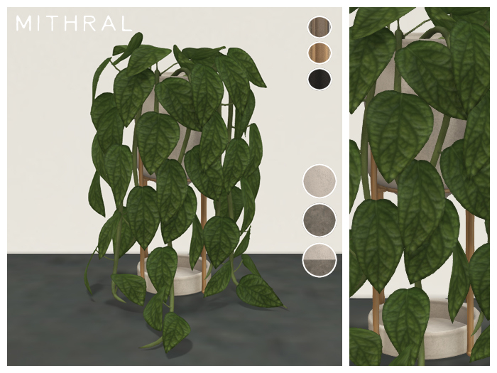 Mithral * Monstera Peru (Pack A)