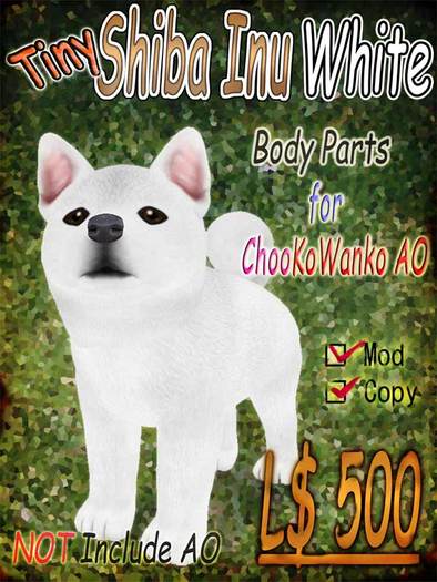 Tiny Shiba Inu Body White