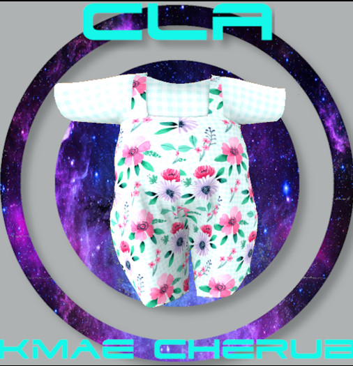 [CIA] cherub gingham overals aqua