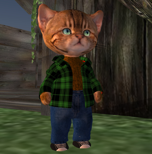 Green plaid jacket with collar