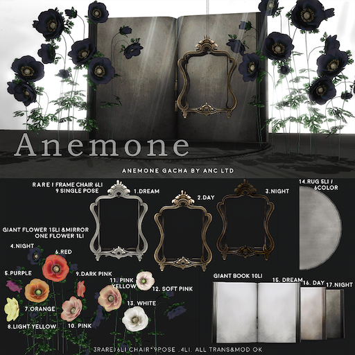 anc anemone Derain Varane's  frame chair (day) RARE