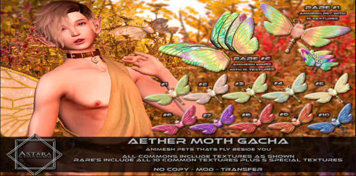 Astara - Aether Moth 1 (Rezz Me)