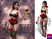 InStyle - Complete set Rose