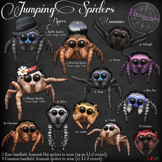 3. *HEXtraordinary* Raindrop Spidey - RARE