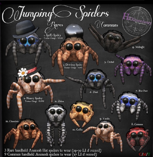 3. *HEXtraordinary* Raindrop Spidey - RARE