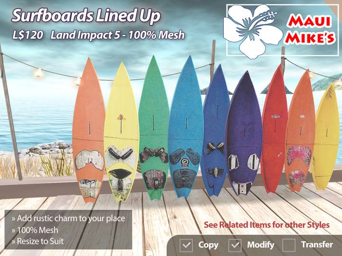 Surfboards Lined Up