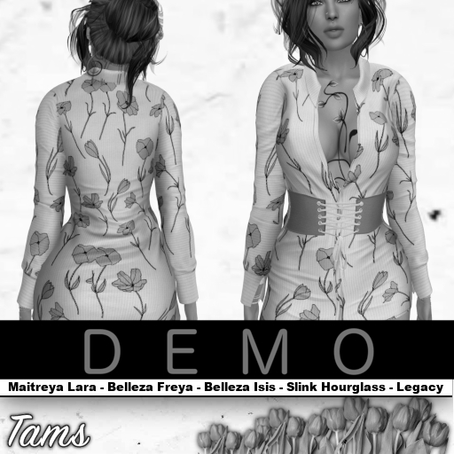 DEMO - Front Belt Dress - Bebe