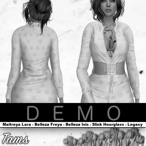 DEMO - Front Belt Dress - Babs