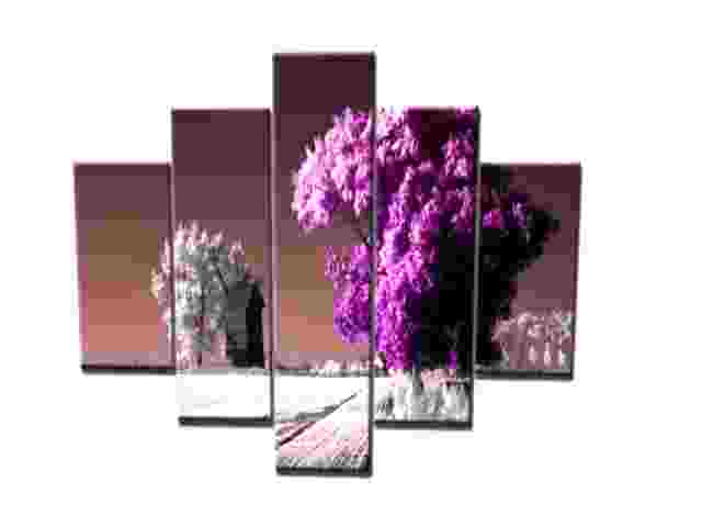 Broken Canvas art  tree